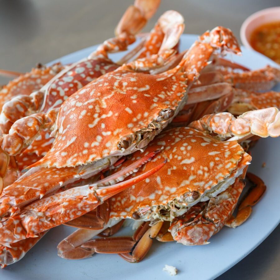 fresh crabs