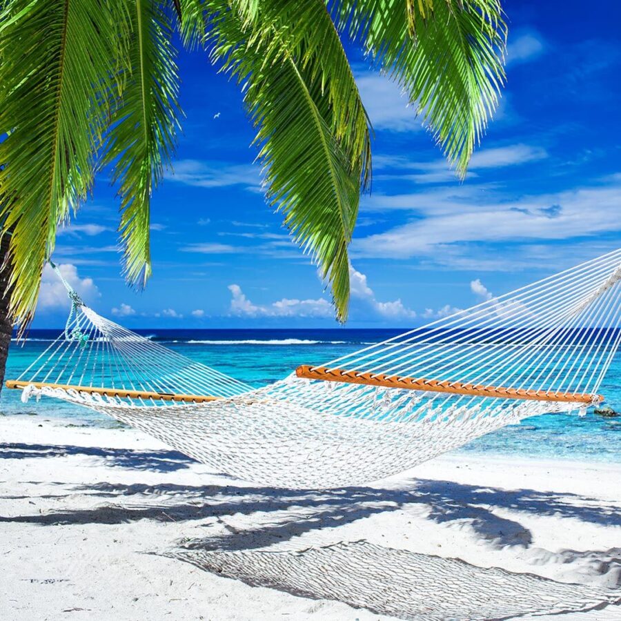 hammock and palm trees next to the beach